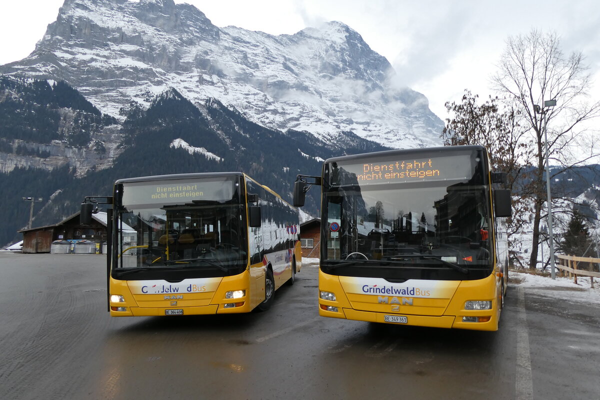 (283'652) - GrindelwaldBus, Grindelwald - Nr. 24/BE 364'408 + Nr. 20/BE 349'361 - MAN/G�ppel am 2. Januar 2026 beim Bahnhof Grindelwald