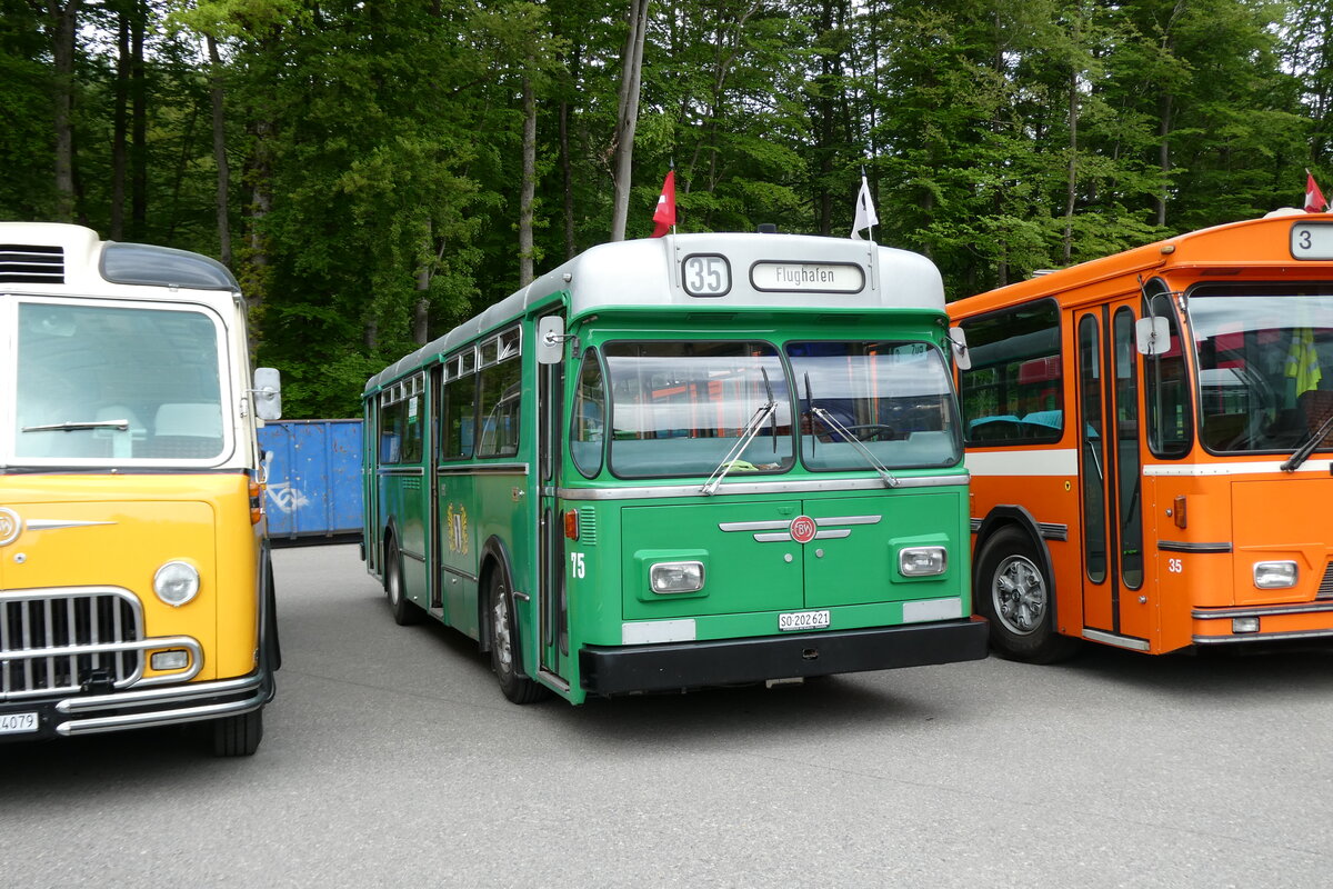 (286'759) - BVB Basel (RWB) - Nr. 75/SO 202'621 - FBW/FHS am 3. Mai 2026 in Burgdorf, �kihof Ziegelgut