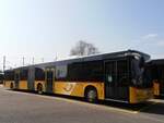 (234'025) - CarPostal Ouest - VD 259'997 - MAN am 20.