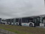 (222'816) - EvoBus, Winterthur - (613'449) - Mercedes am 1.