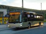 (128'480) - PostBus - PT 12'520 - MAN am 9.