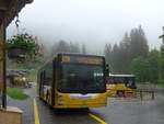 (217'631) - Grindelwaldbus, Grindelwald - Nr.