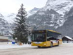 (223'161) - Grindelwaldbus, Grindelwald - Nr.