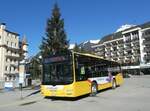 (233'253) - Grindelwaldbus, Grindelwald - Nr.