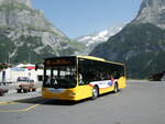 (237'239) - Grindelwaldbus, Grindelwald - Nr.