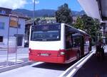 (277'943) - PostAuto Bern - BE 403'166/PID 12'336 - MAN (ex Dr.