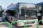 BUS/ITALIA, Padova - Nr. 82'001/FY-807 MS - MAN am 23. M�rz 2026 in Padova (Aufnahme: Martin Beyer)