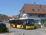 (216'010) - Wieland, Murten - FR 300'634 - Mercedes am 11.