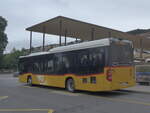 (226'832) - CarPostal Ouest - NE 113'901 - Mercedes am 1.