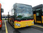 (256'716) - CarPostal Ouest - VD 259'949/PID 11'009 - Mercedes am 5.