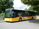 (276'214) - Schumacher, Metzerlen - Nr.