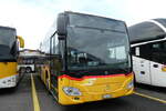 (278'094) - CarPostal Ouest - VD 604'392/PID 11'487 - Mercedes am 27.