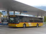 (209'982) - PostAuto Ostschweiz - SG 356'488 - Mercedes (ex Schmidt, Oberbren) am 6.