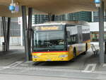 (230'636) - CarPostal Ouest - JU 65'083 - Mercedes (ex Nr.