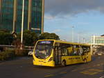 (192'217) - Bus Travel, Manukau - Nr.