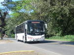 (212'507) - Cuatro por Tres, Barranca - 2948 - Zhongtong am 26. November 2019 in San Bosco, Busterminal