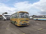 AFJ 86B  1964 AEC Reliance  Harrington C41F  New to Greenslade Tours, Exeter, England.