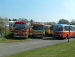 Life after being a bus.

Here we see three Plaxton Panorama bodied Leyland Leopards, all new to BMMO (later known as Midland Red).

SHA 645G, dating from 1969, BMMO fleet number 6145;
Q124 VOE, originally registewred GHA 326D, dating from 1966, BMMO 5826;
WHA 237H, dating from 1970, BMMO 6237.

Photograph taken at The Transport Museum, Wythall, Birmingham, on 5th April 2003.

WHA 237 had called in to The Transport Museum after delivering an AEC Reliance to Birmingham.  SHA & Q124 were both resident at the museum.  I believe that Q124 VOE has since been scrapped.