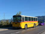 (198'148) - Schmid, Glarus - GL 4012 - Saurer/Tscher (ex Mosimann, Aesch; ex Erne, Full; ex P 24'257) am 13. Oktober 2018 in Bilten, Schniserstrasse