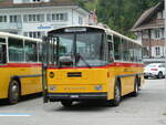 (239'762) - Schmid, Thrishaus - BE 26'206 - Saurer/Tscher (ex P 24'244) am 28.