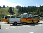 (239'860) - Schmid, Thrishaus - BE 26'206 - Saurer/Tscher (ex P 24'244) am 28.