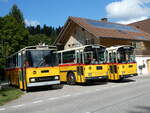 (239'878) - Roth, Zrich - SH 36'376 - Saurer/Tscher (ex Looser, Elm; ex Mattli, Wassen) am 28.