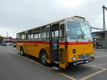 (240'729) - Gast, Reutigen - BE 113'160 - Saurer/Tscher (ex HPTrans, Thusis; ex Mauerhofer, Worb; ex Erni, Schupfart Nr.