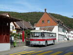 (255'371) - Borer, Neuhausen - Nr. 7/SH 19'684 - Saurer/Tscher (ex Heiniger, Btzberg; ex ASS Schleitheim Nr. 22; ex ASS Schleitheim Nr. 7) am 17. September 2023 in Lhningen, Dorf