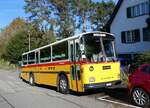 (268'435) - Schmid, Thrishaus - BE 26'206 - Saurer/Tscher (ex P 24'244) am 25.