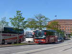 (204'890) - Sprlein, Burgebrach - BA-MS 788 - Setra am 11.