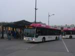 (157'109) - Breng, Ijsselmuiden - Nr. 4457/BX-GN-79 - Mercedes am 20. November 2014 beim Bahnhof Nijmegen