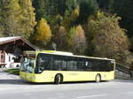 (176'045) - PostBus - BD 13'335 - Mercedes am 20.