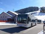 (168'960) - Abderhalden, Wildhaus - SG 126'225 - Mercedes (ex LBA Vaduz/FL Nr.