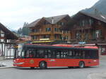 (225'266) - AFA Adelboden - Nr.