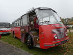 (268'703) - Flecher, Ohnenheim - Nr. 17/DZ 781 VL - FBW/Gangloff (ex FRAM Drachten/NL Nr. 17; ex AFA Adelboden/CH Nr. 3) am 26. Oktober 2024 in Kintzheim, Cigoland