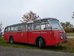 (268'717) - Flecher, Ohnenheim - Nr. 17/DZ 781 VL - FBW/Gangloff (ex FRAM Drachten/NL Nr. 17; ex AFA Adelboden/CH Nr. 3) am 27. Oktober 2024 in Kintzheim, Cigoland