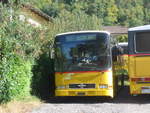(210'552) - AutoPostale Ticino - (TI 215'389) - MAN/Lauber (ex Nr.