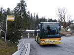 (274'176) - Flck, Brienz - Nr.