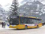 (223'154) - Grindelwaldbus, Grindelwald - Nr.