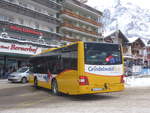 (223'162) - Grindelwaldbus, Grindelwald - Nr.