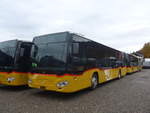 (222'792) - PostAuto Bern - PID 11'460 - Mercedes am 1.