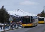 (272'373) - PostAuto Ostschweiz - SG 436'005/PID 10'501 - MAN am 22.