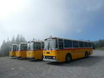 (239'793) - Roth, Zrich - SH 36'376 - Saurer/Tscher (ex Looser, Elm; ex Mattli, Wassen) am 28.