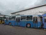 (217'883) - VBZ Zrich (Rtrobus) - Nr.