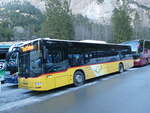 (244'677) - Steiner, Messen - SO 20'096/PID 5015 - MAN (ex SO 104'174) am 7.