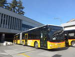 (224'638) - PostAuto Bern - Nr.