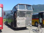 (227'377) - Schneider, Schmerikon - SG 13'934 - FBW/Tscher Hochlenker (ex Basler, Hofstetten; ex VBZ Zrich Nr. 244) am 21. August 2021 in Interlaken, Flugplatz