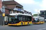 (286'852) - PostAuto Bern - BE 659'260/PID 12'307 - eMercedes am 8. Mai 2026 beim Bahnhof Interlaken Ost