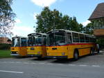 (239'885) - Schmid, Thrishaus - BE 26'206 - Saurer/Tscher (ex P 24'244) am 28.