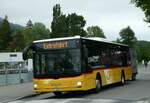 (250'385) - Steiner, Messen - SO 20'096/PID 5015 - MAN (ex SO 104'174) am 24.